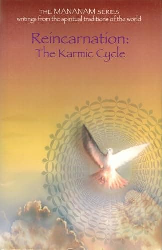 Reincarnation: The Karmic Cycle