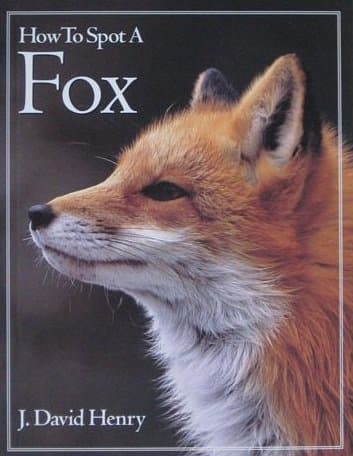 Book cover for How to Spot a Fox (The How to Spot) by Henry, J. David