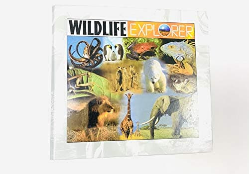 Book cover for Wildlife Explorer (Group 1 through Group 8) by International Masters Publishers