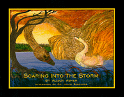 Book cover for Soaring Into the Storm : A Book about Those Who Triumph Over Adversity by Asher, Alison