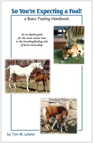 Book cover for So You're Expecting a Foal: A Basic Foaling Handbook by Toni Leland