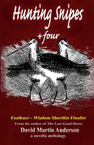 Book cover for Hunting Snipes +four by Anderson, David Martin