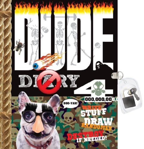 Book cover for Dude Diary 4: Write Stuff, Draw Randomly, Destroy If Needed! by Gill, Mickey