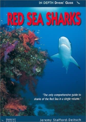 Red Sea Sharks: in Depth Diver's Guide