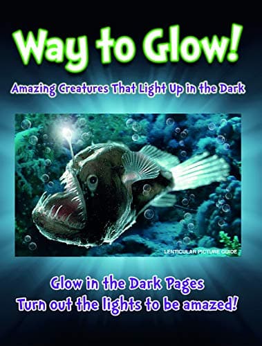 Book cover for Way to Glow by Lisa Regan