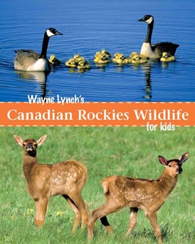 Book cover for Wayne Lynch's Children's Book of Canadian Rockies Wildlife by Wayne Lynch