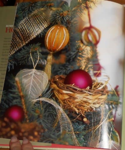 Home for the Holidays: Creative Ideas for Making the Holidays Memorable (Hallmark Occasions)