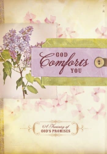 Book cover for God Comforts You Promise Book by Summerside Press