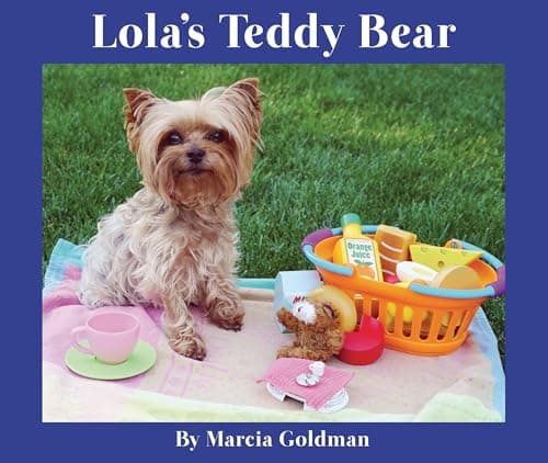 Book cover for Lola's Teddy Bear by Goldman, Marcia