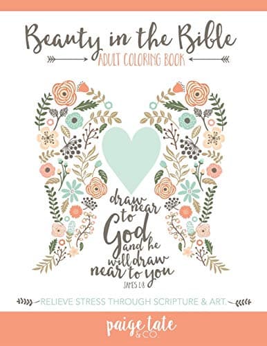 Book cover for Beauty in the Bible: Adult Coloring Book by Paige Tate