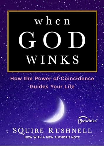 Book cover for When God Winks: How the Power of Coincidence Guides Your Life (1) (The Godwink Series) by Rushnell, SQuire