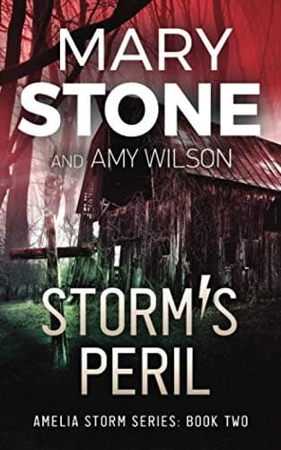 Book cover for Storm's Peril (Amelia Storm FBI Mystery Series) by Stone, Mary