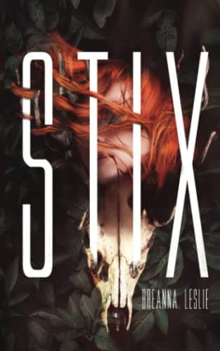 Book cover for Stix by Leslie, Breanna