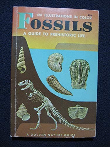 Book cover for Fossils,: A guide to prehistoric life, (A Golden nature guide) by Frank H.T. Rhodes -