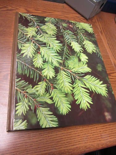 Book cover for Evergreens, (The Time-Life encyclopedia of gardening) by Crockett, James Underwood