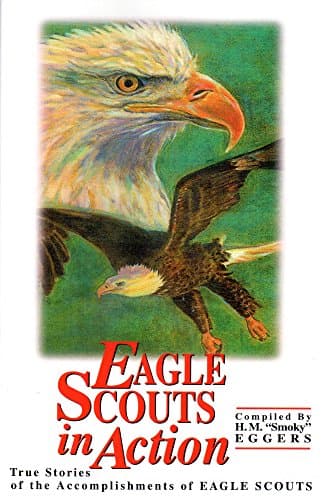 Book cover for Eagle Scouts in Action: True Stories of the Accomplishments of Eagle Scouts by H. M. "Smoky" Eggers