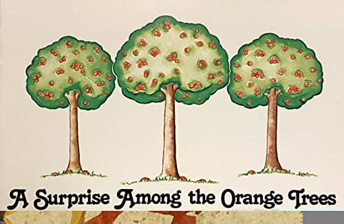 Book cover for A surprise among the orange trees by Hatcher, Carolyn