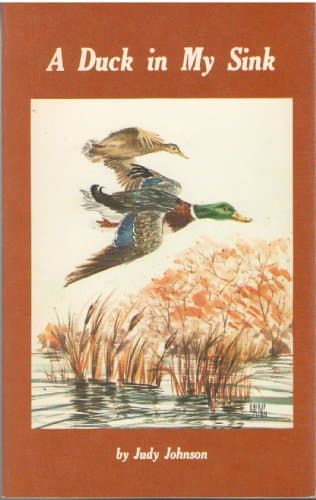 Book cover for A duck in my sink by Judy Johnson