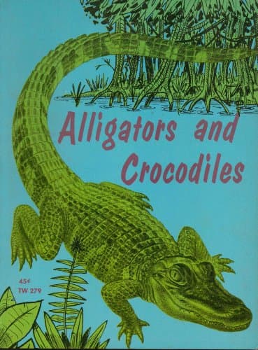 Alligators and crocodiles;