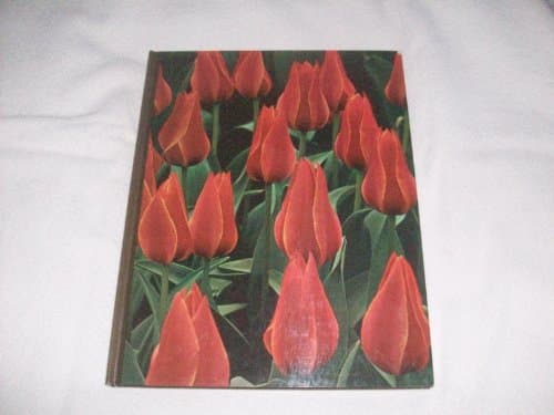 Book cover for Bulbs -The Time-Life Encyclopaedia of Gardening by Time Life