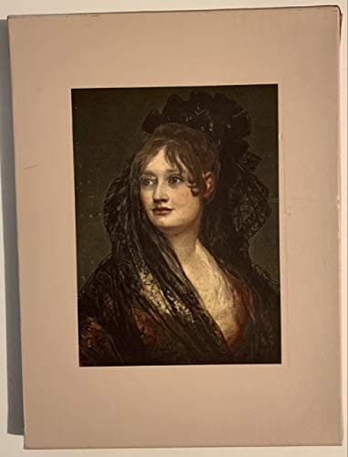 Book cover for The World of Goya 1746-1828 by Richard Schickel 1977 Time-Life Library of Art Hardcover with Slipcase by Richard Schickel