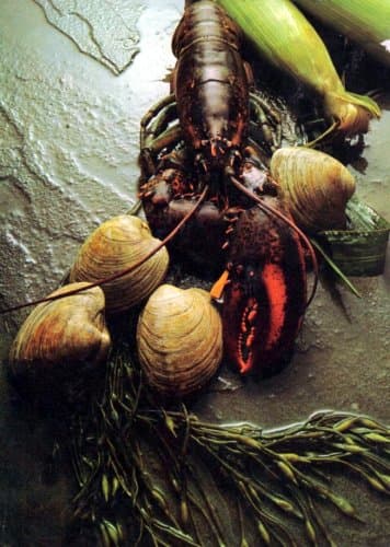 Book cover for Recipes: American Cooking; New England (Foods of the World, Time-Life Books) by Unknown