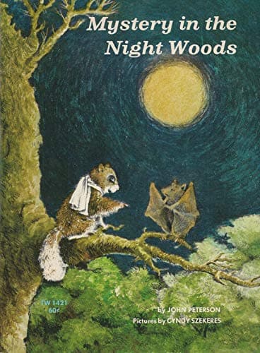 Book cover for Mystery in the Night Woods by John Peterson
