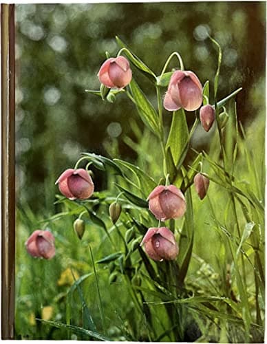 Book cover for Wildflower gardening; the Time-life Encyclopedia of Gardening by Crockett, James Underwood