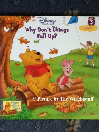 Book cover for Why Don't Things Fall uP? (Winnie the Pooh's Thinking Spot) by Unknown