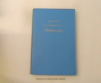 Book cover for Hirtennovelle. by ERNST. WIECHERT