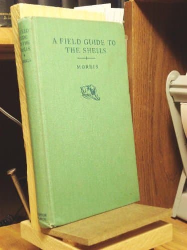 Book cover for a field guide to the shells of our atlantic and gulf coasts [ peterson field guide series] by morris, percy a.