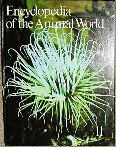 Encyclopedia of the Animal World, Book 11, Hoopoe to Kittiwake (11)
