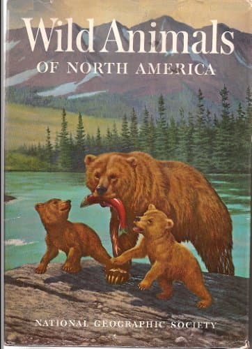 Book cover for Wild Animals of North America by Unknown