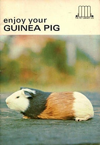 enjoy Your Guinea Pig