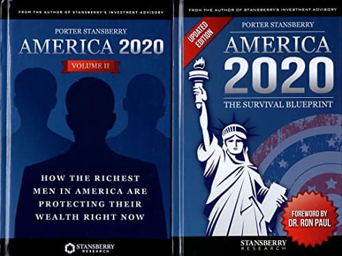 Book cover for America 2020: 2 Volume Set by Porter Stansberry
