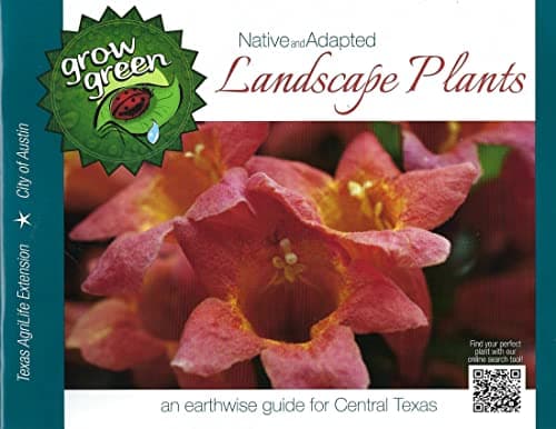 Book cover for Native and Adapted Landscape Plants, An Earthwise Guide for Central Texas by Ray Mathews